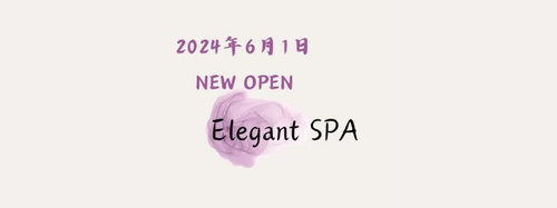 ElegantSPA